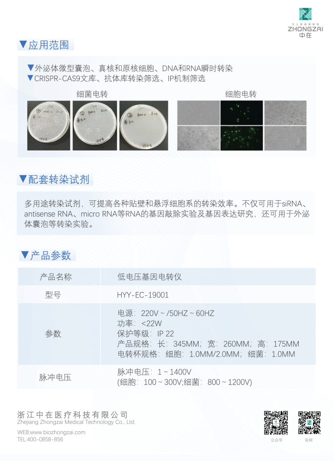 c112dae4aa872425cb98dea4a30abe1